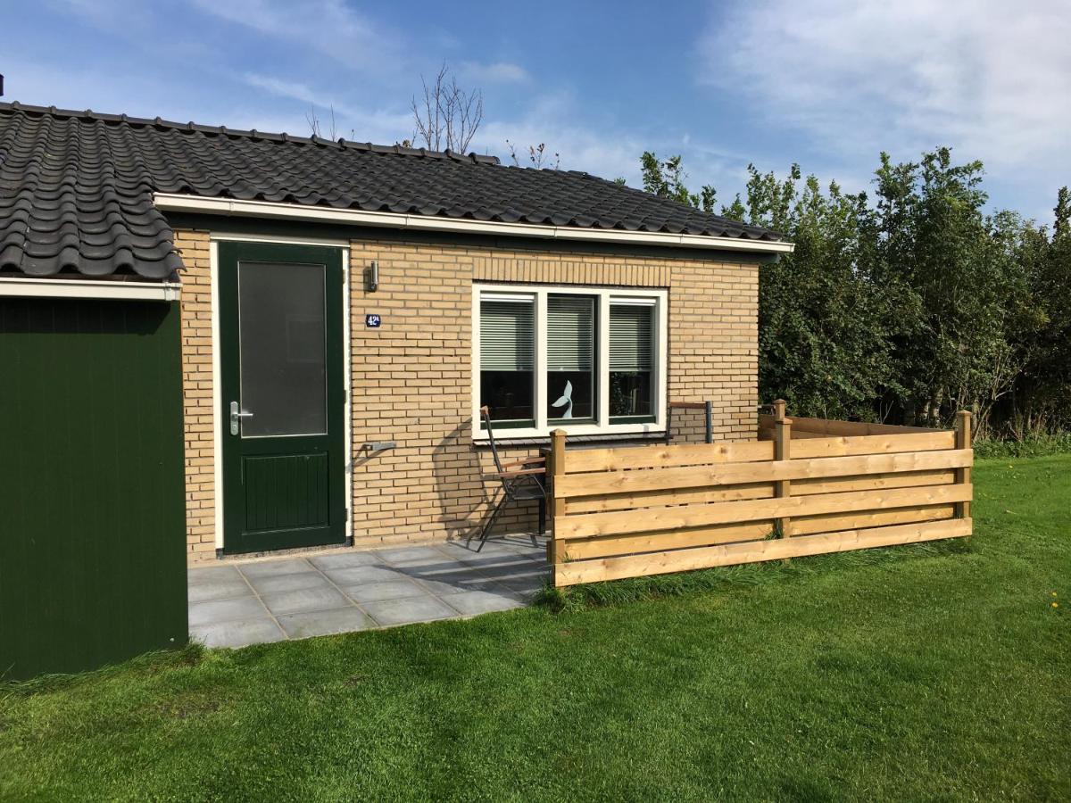 Bungalow Op Bedrijf Met Melkkoeien De Cocksdorp  Esterno foto